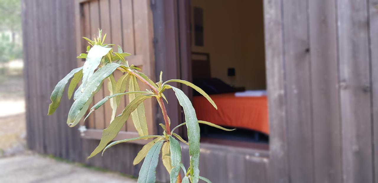 Casas Rurales Cijara Konuk evi Helechosa Dış mekan fotoğraf