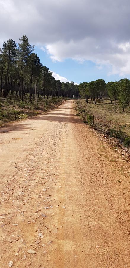 Casas Rurales Cijara Konuk evi Helechosa Dış mekan fotoğraf